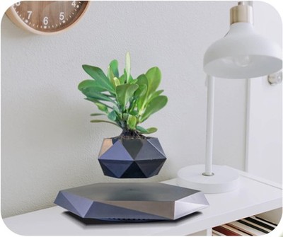 Planter Levitating Plant Pot Floating Air Bonsai Pot Suspension Flower Pot