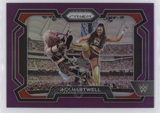 2024 Panini Prizm WWE Purple Prizm 15/149 Indi Hartwell #80 14ae