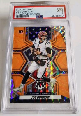 □　画家本人出品 BL-ZONE 2022 10　Ｏh!　F0号　□ 2022 Panini Mosaic #255 National Pride Reactive Orange Prizm Joe