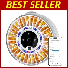 Arthritis-Friendly Smart Pill Dispenser with Voice Reminders