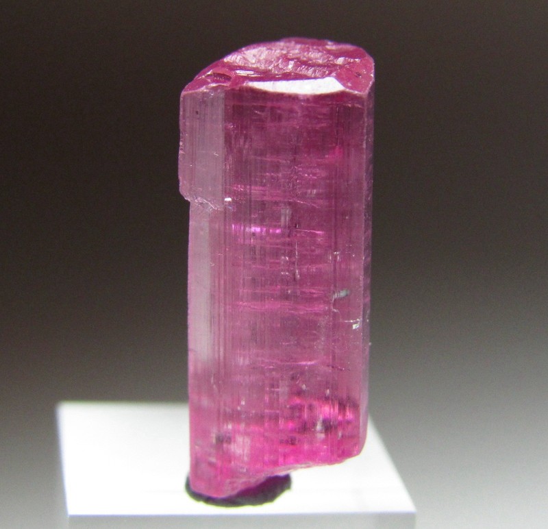 DELIGHTFUL GLASSY GEM TOURMALINE CRYSTAL!!! AFGHANISTAN