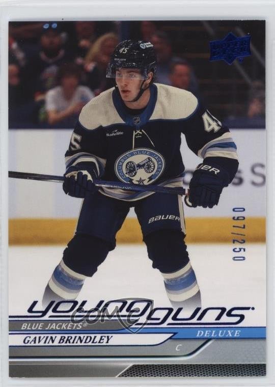 2024-25 Upper Deck Series 1 Young Guns Deluxe /250 Gavin Brindley #207 Rookie RC