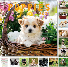 2026 Wall Calendar 12"X24" Opened, 18-Month Puppy Dog Calendar from January 2026