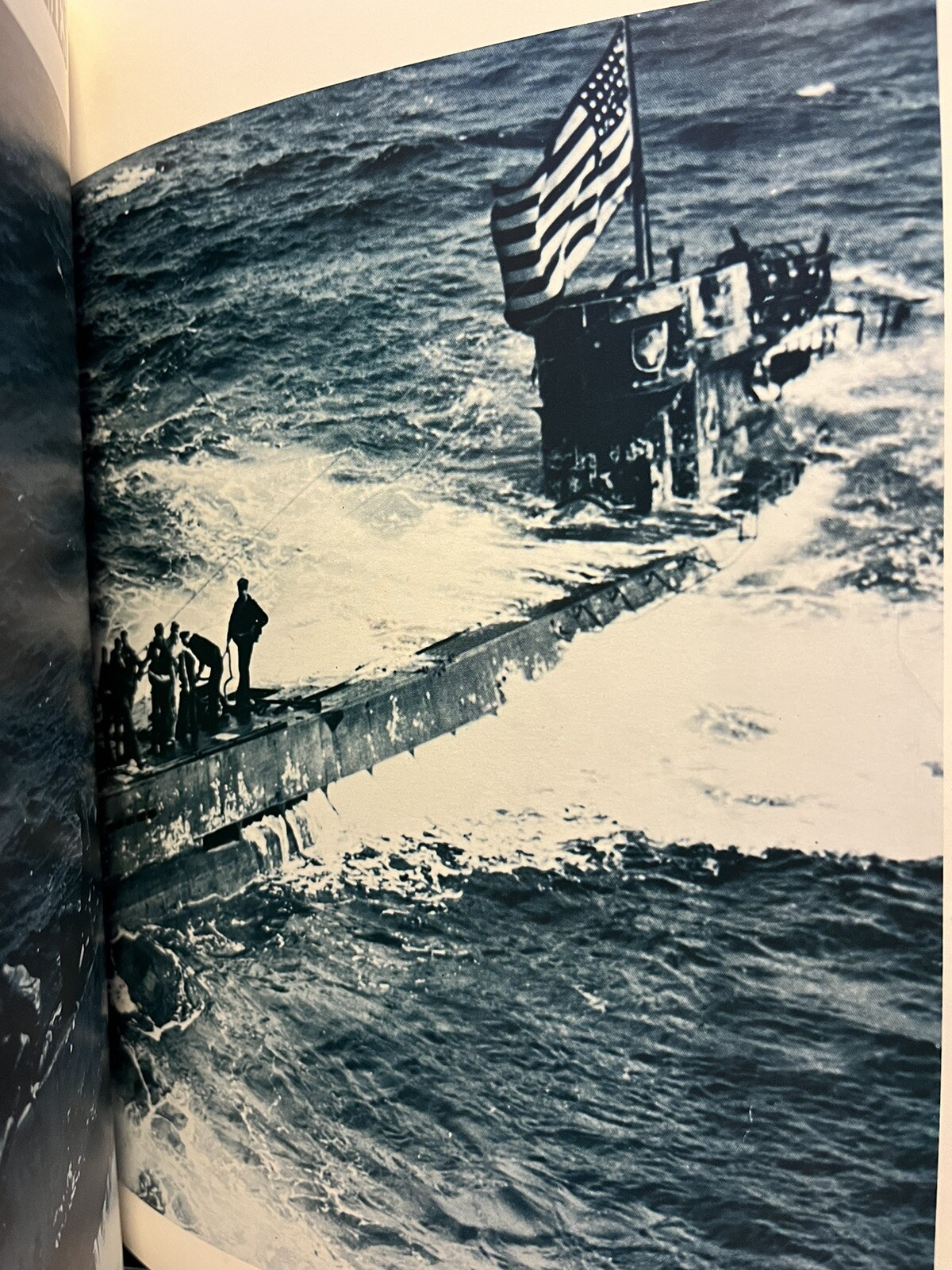 Picture 7 of 11
