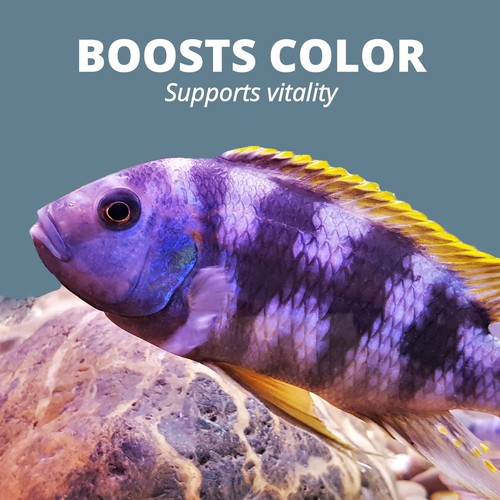 Floating Cichlid Sticks Fish Food Aquatic Pets Nutritionally Balanced Diet New - Picture 9 of 10