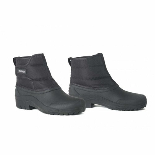 469802 Ovation Blizzard Winter Paddock 