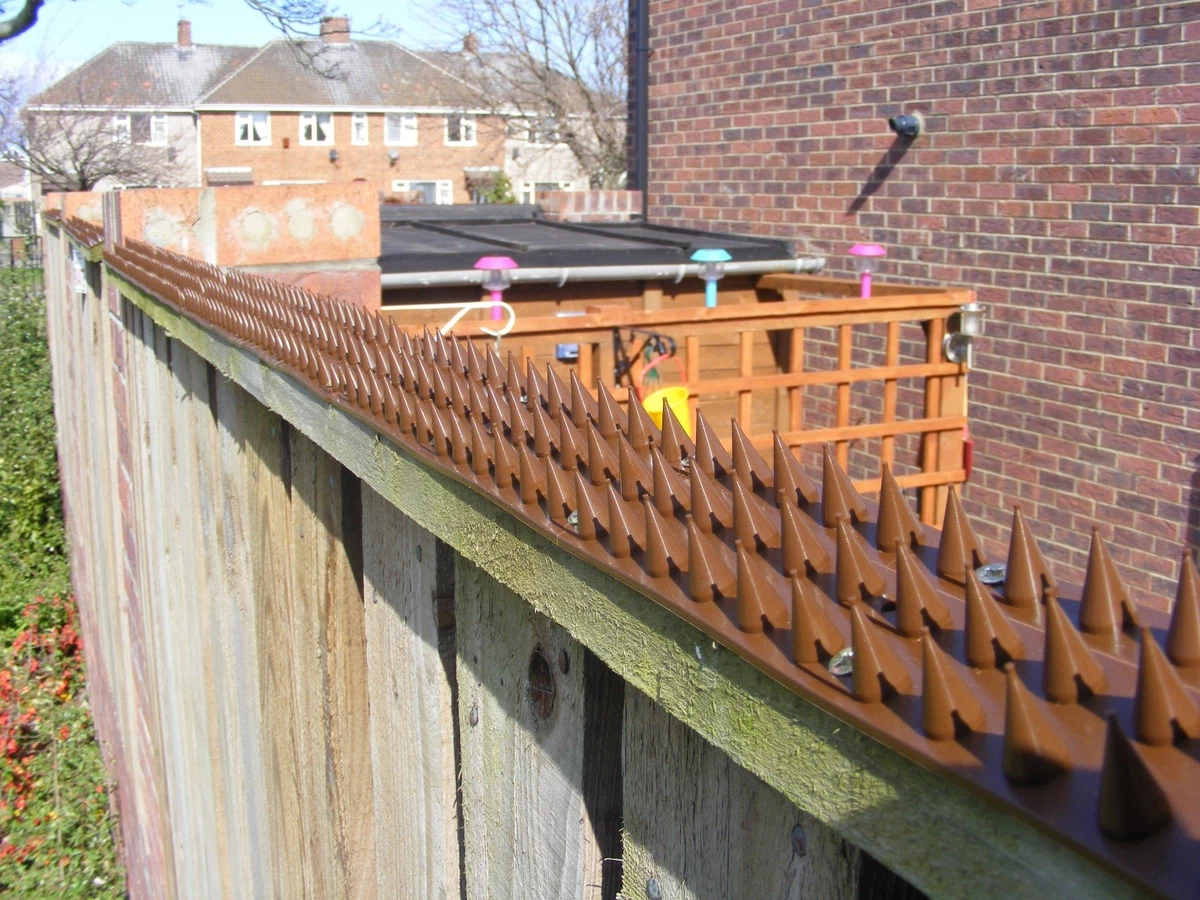 Cat deterrent store fence spikes
