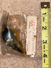 SUPER TUFF FIND UNKNOWN BAGLEY TYPE LURE! FROG COLOR LURE!! — photo 5