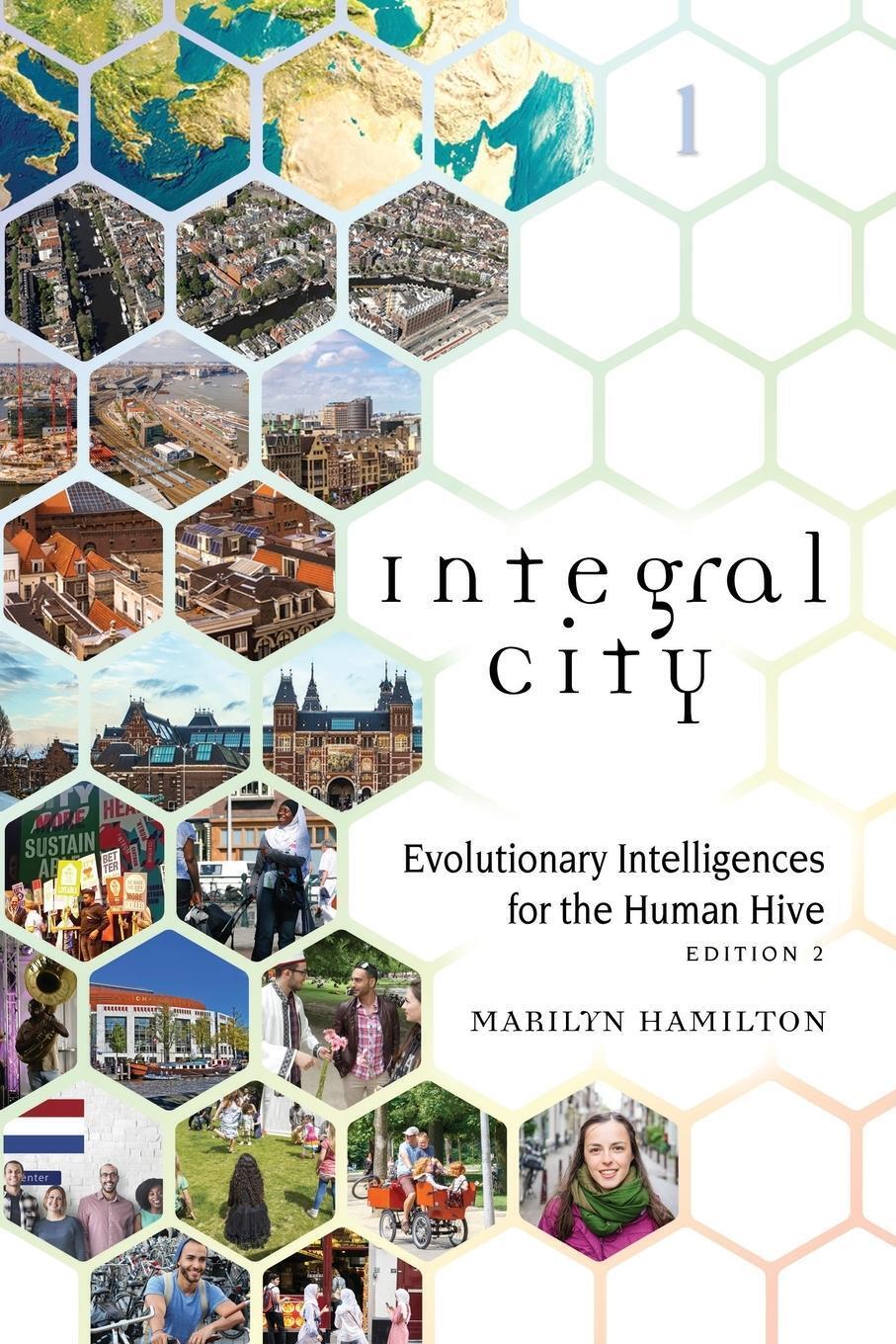 Thumbnail - Integral City Evolutionary Intelligences For The Human Hive Marilyn