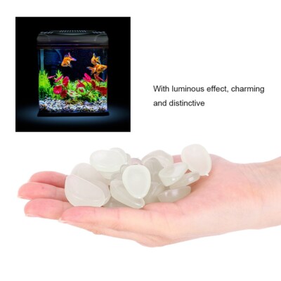 New (Clear)100X Luminous Stone Fluorescent Decor Garden Yard Indoor Aquarium