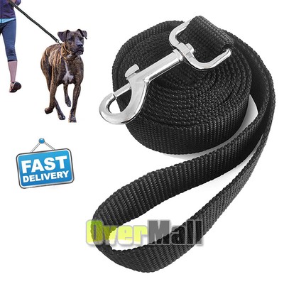 ebay dog training leads