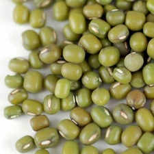 Asian Mung Bean Seeds | NON GMO Green Beans Vegetable