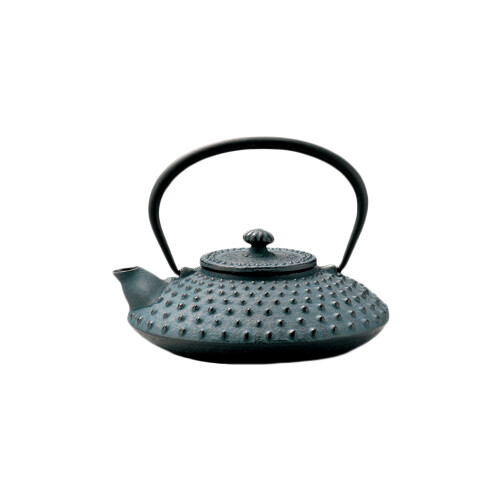 Nanbu cast iron teapot - HIRA ARARE - 500 ml/cc