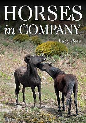 Horses in Company by Lucy Rees (Paperback, 2017)