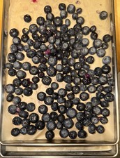 4 ounces Freeze Dried Blueberries