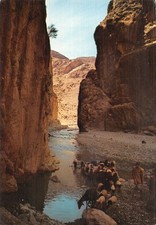 MAROKKO MARRAKESCH SCHLANGENBESCHWÖRER