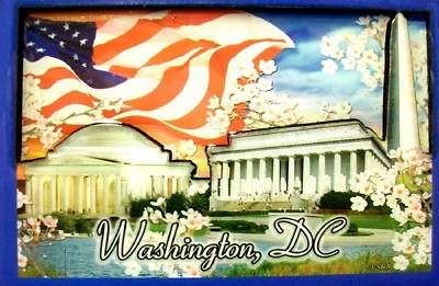 Washington D.C. Cherry Blossom Fridge Magnet