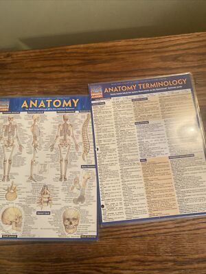Anatomy Terminology (Quick Study) Laminated Set Of 2