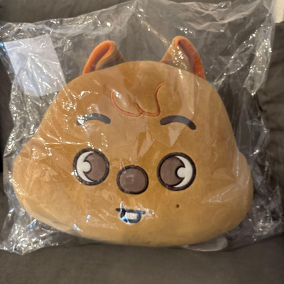 straykids SKZOO PLUSH CUSHION ハンクォッカ Stray Kids SKZOO Han HANQUOKKA Plush face Cushion NEW JYP japan