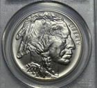 Picture 5 of 14
