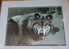 Rod Frederick Timber Ghost Wolf Double Signed Print 2253/3000  pencil sign