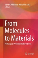 Elena A. Rozhkova (U. A.) | From Molecules To Materials | Taschenbuch | Englisch