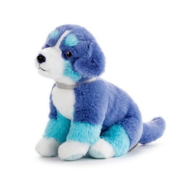 Bernese Mountain Dog blue and white 8