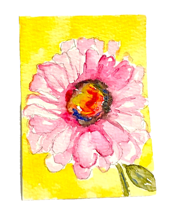 ACEO Original zinnia pink flower  ATC OOAK Cherie Donnell
