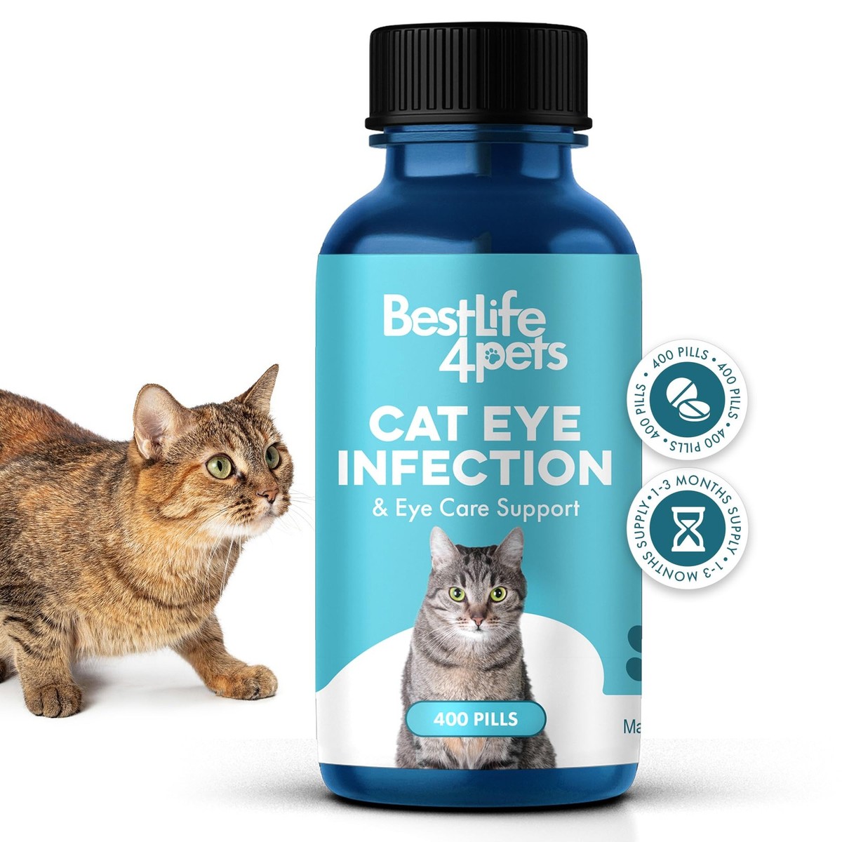 EYE SUPPORT Ocular Vision Care Supplement Cats Kitten BESTLIFE4PETS