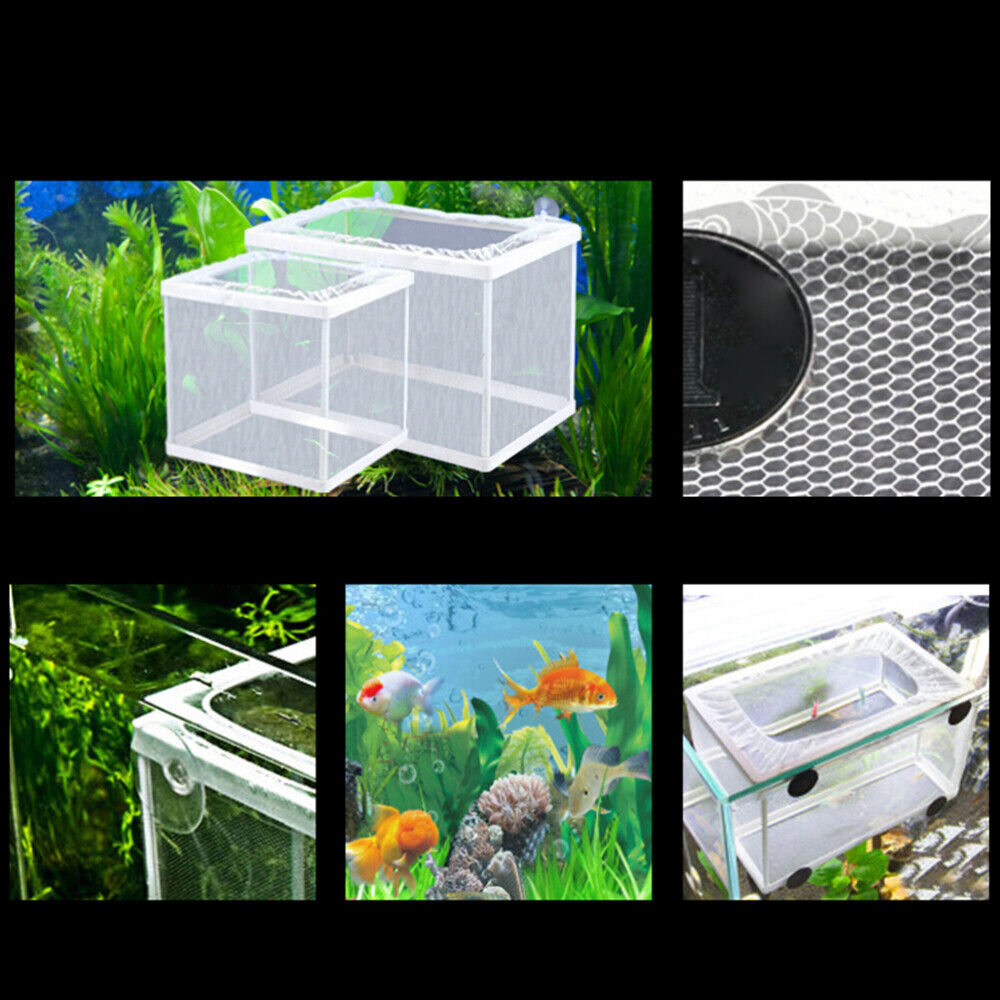 fish tank divider Drip Acclimation Breeding Net Fish Tank Fish Breeder