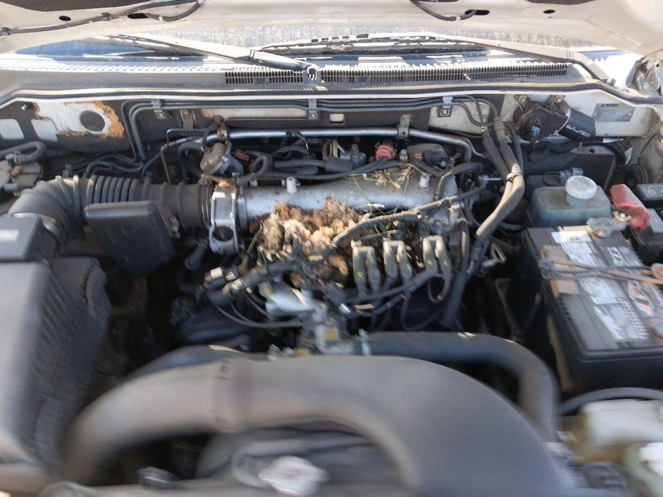 MONTERO   2001 Steering Wheel 30353946 Foto 3 de 4