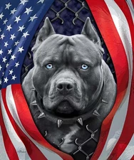 Plush Queen Size Dog Blanket - Extremely Soft - Patriotic Pitbull