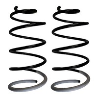 Fahrwerksfedern-Set Vorne Schraubenfeder Ø171Mm Spidan FüR U.A. Peugeot 307