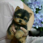 Simulation Puppy Dog Toy Yorkie Dog Lifelike Realistic Stuffed Companion Toy Pet