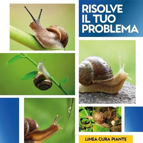 ESCA LUMACHICIDA LUMACHE CHIOCCIOLE CARAKOL AGRO 1 KG METALDEIDE PFnPE - Foto 2 di 2