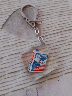 Porte Clé Inclusion Antigel Alasha