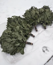 12 Oak brooms sauna banya venik Eiche whisks eco 2025 Ukrainian