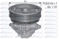 Dolz S224 Wasserpumpe FüR CitroËN, Fiat, Peugeot