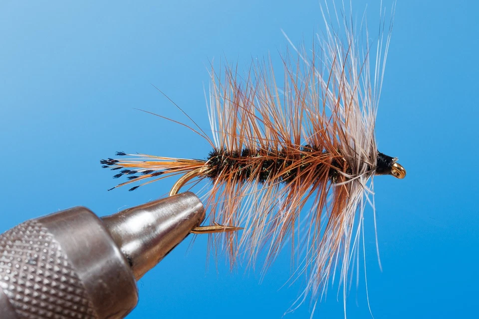 Fliegentom - Sortiment von 6 Holland Palmer Fliegen - Bild 3 von 4