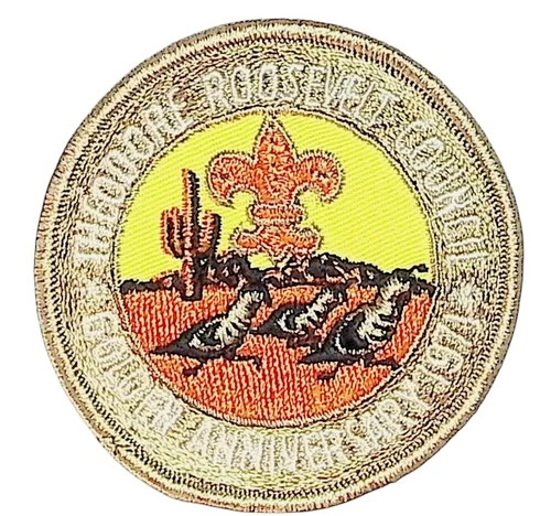 Theodore Roosevelt Council Golden Anniversary 1971 CP BSA Patch Bdr (ZG560)