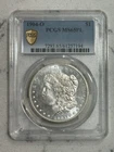 1904 O Morgan Silver Dollar PCGS MS-65 PL Gold Shield! Proof Like 🔥