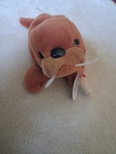 Ty Beanie Baby Tusk The Walrus DOB September 18, 1995 Plush Toy Some Tag Damage
