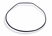 Casio Collection Dichtungsring O-Ring Schwarz AQ-180 HDC-700 10212148