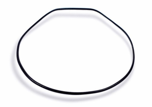 Casio Collection Dichtungsring O-Ring Schwarz AQ-180 HDC-700 10212148-image