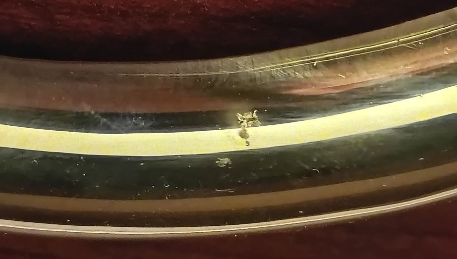Picture 9 of 9