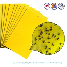 Sticky Fly Trap Paper Board Traps Fruit Flies Insect Glue Catcher Pest Control