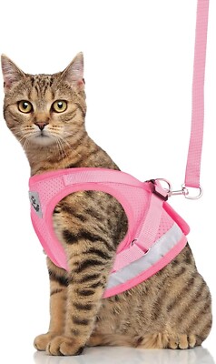 2.0 tofu cat litter factory Rawry Tofu Cat Litter