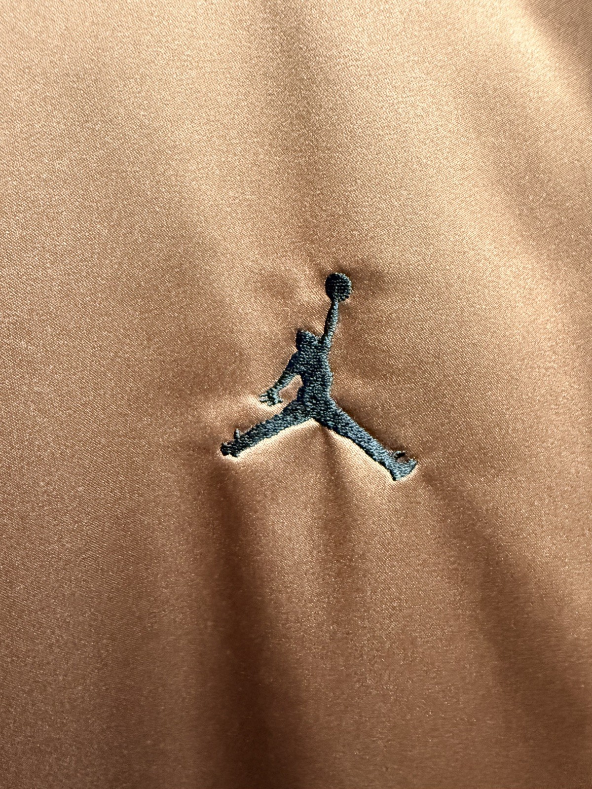 Air Jordan Zion Williamson Bomber Varsity Brown Jacket DV5633-244 Mens Large  thumbnail 11