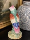 Splendid Rare 19C English Staffordshire Tropical Parrot Parakeet Macaw Bird 9” — photo 5