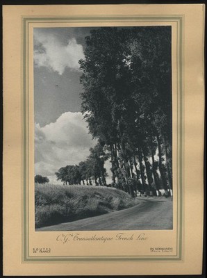French Line S S Ile-de-France Luncheon Menu 9/24 1949